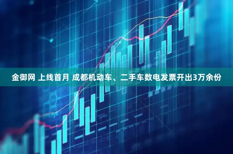 金御网 上线首月 成都机动车、二手车数电发票开出3万余份
