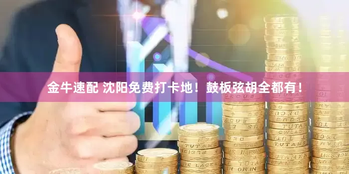 金牛速配 沈阳免费打卡地！鼓板弦胡全都有！