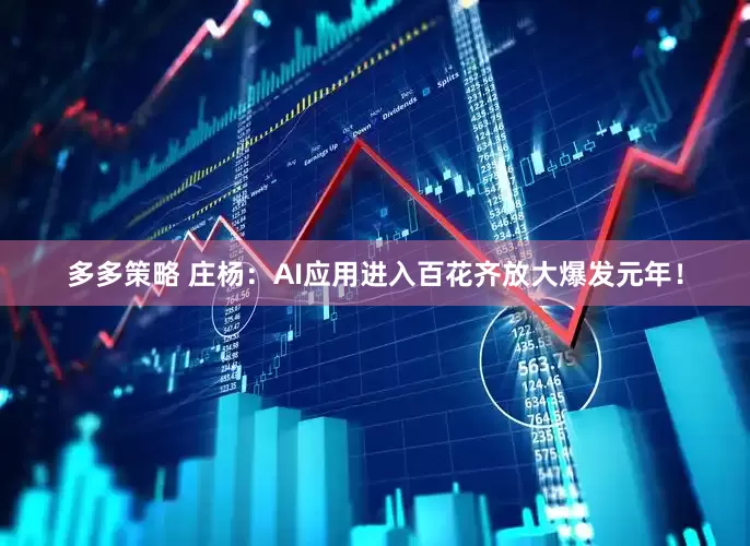 多多策略 庄杨：AI应用进入百花齐放大爆发元年！
