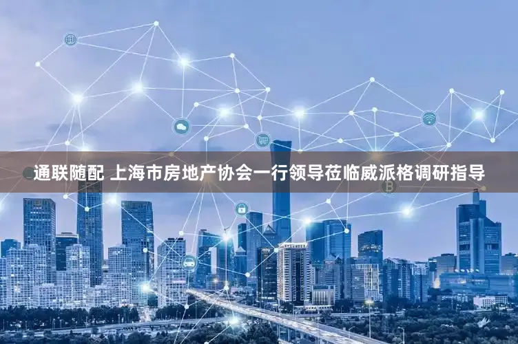通联随配 上海市房地产协会一行领导莅临威派格调研指导